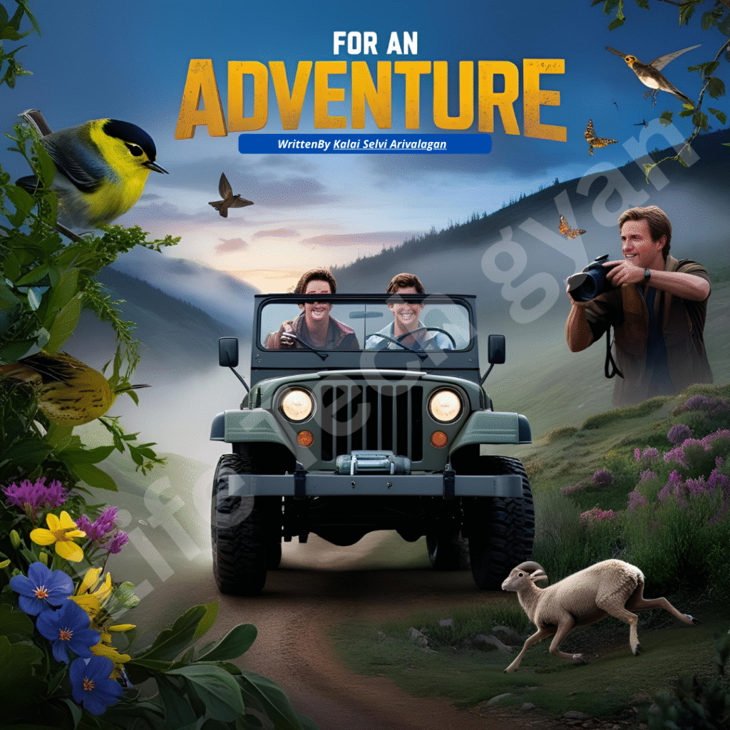 Home 7 for an adventure